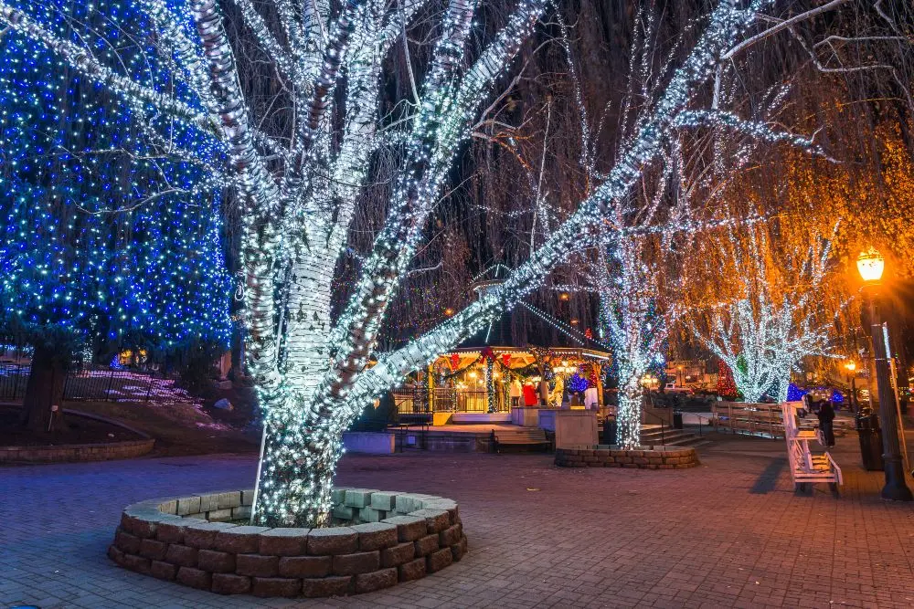 Commercial property decorated with professional Christmas lights